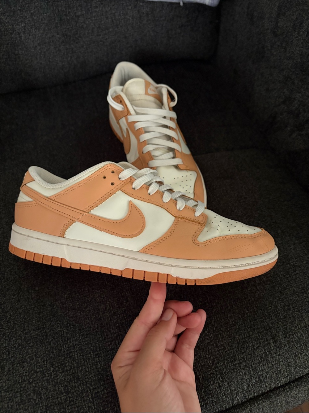 Nike Dunks